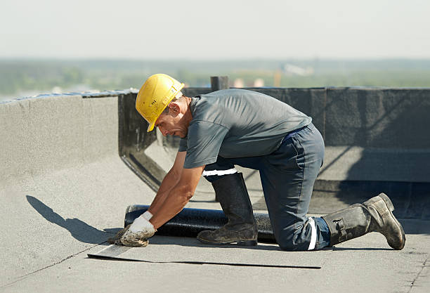 Best Eco-Friendly Insulation in Robertsde, AL